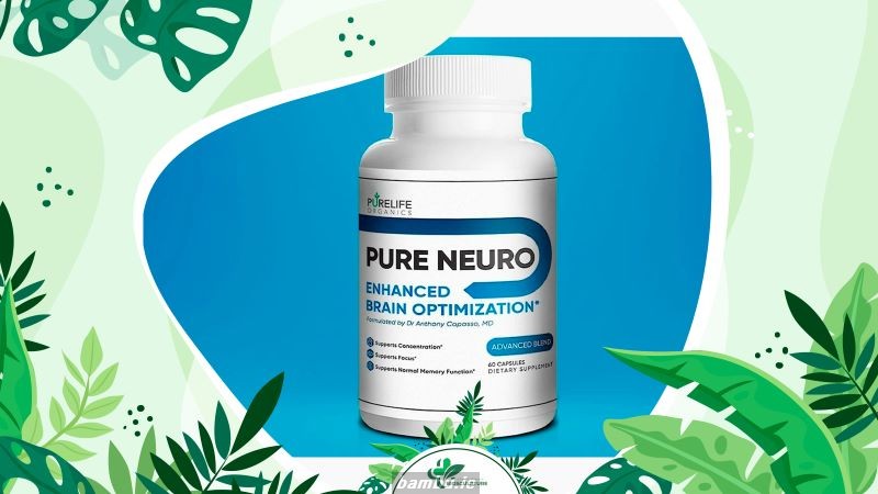 Pure Neuro