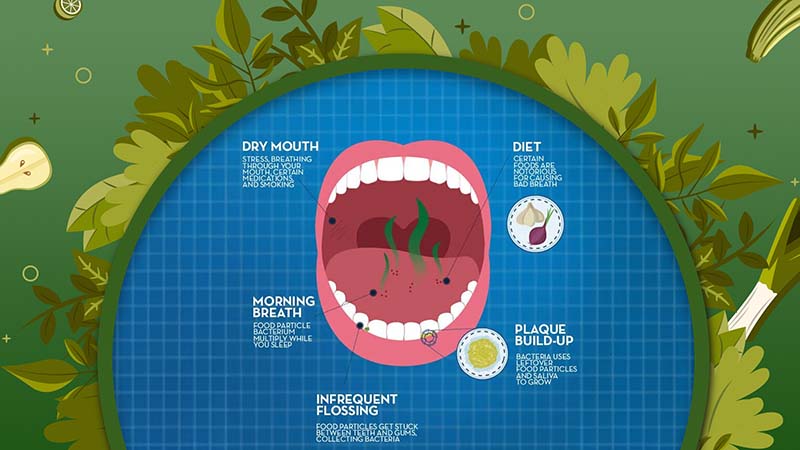 Causes of Foul-Smelling Saliva