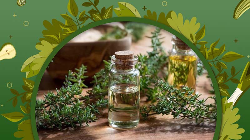 Treat Swollen Gums with Thyme Essential Oil 